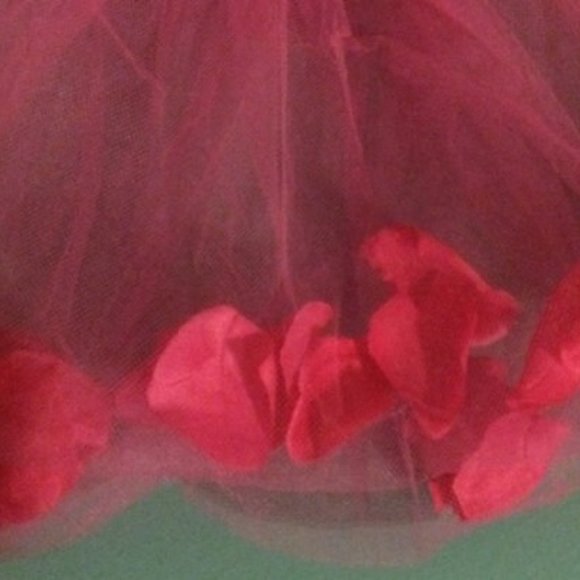 NEW IN PACKAGE *Hot Pink Ballet Tutu with Rose Petals in Skirt and Rose on Waist - Picture 6 of 6